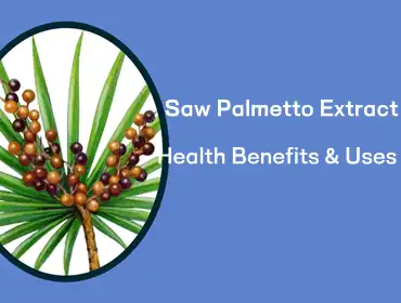 Health Benefits & Uses of Saw Palmetto Extract